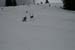 Audi Quattro Cup 1_08 145