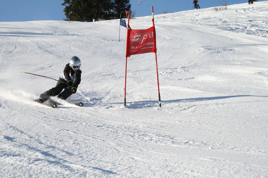 AQC_2_26.01.2008 004