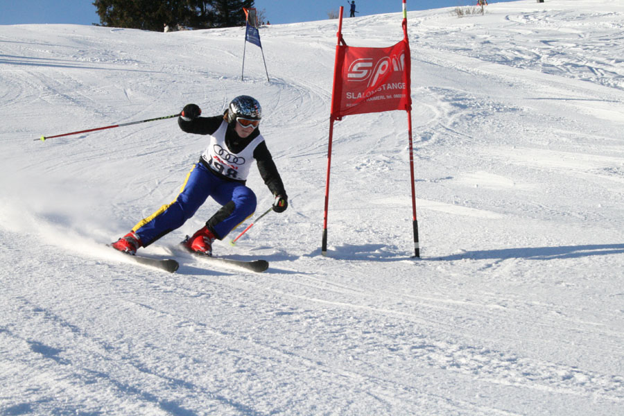 AQC_2_26.01.2008 005