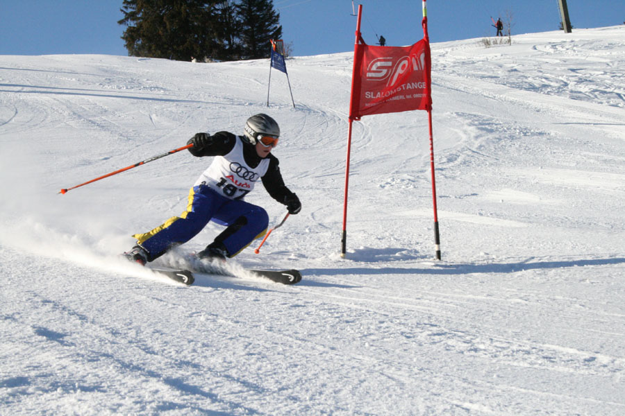 AQC_2_26.01.2008 006