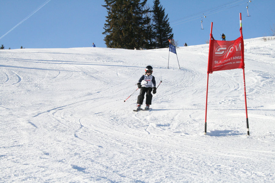 AQC_2_26.01.2008 010