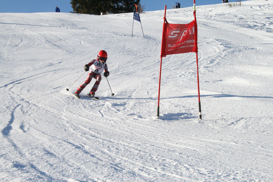 AQC_2_26.01.2008 013