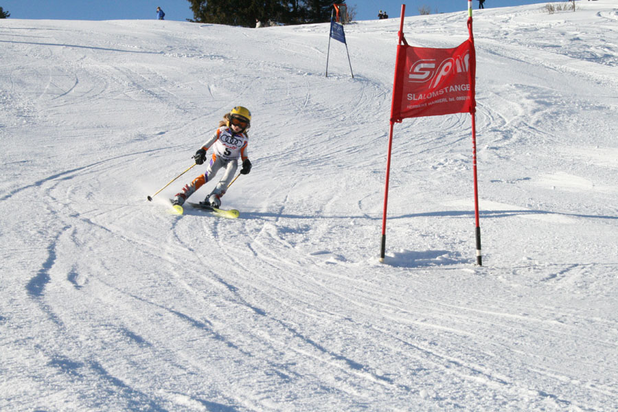 AQC_2_26.01.2008 015