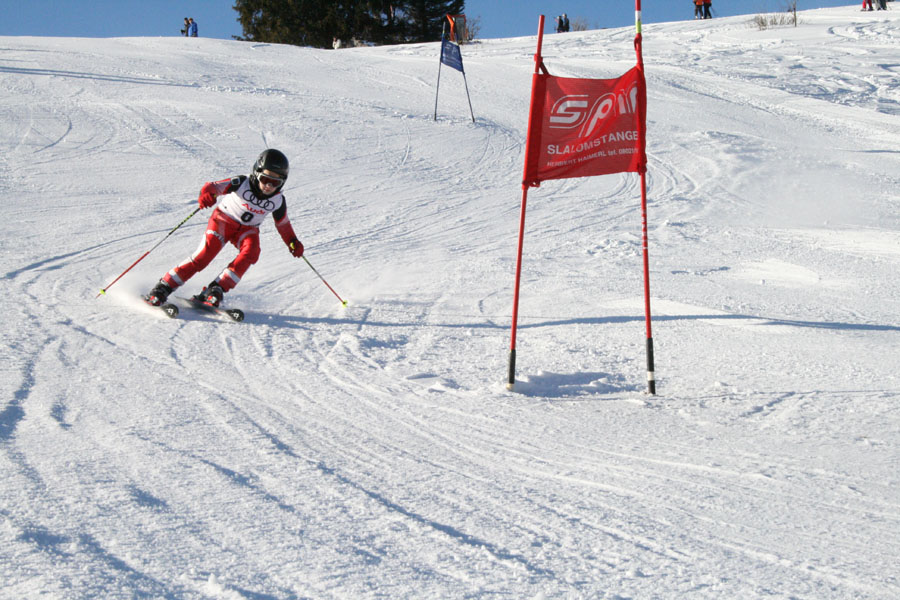 AQC_2_26.01.2008 017