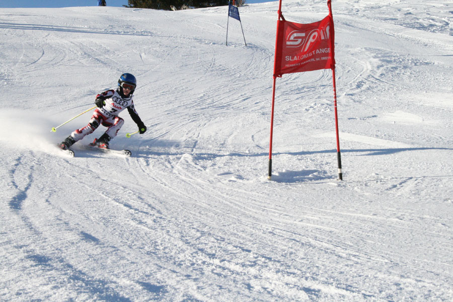AQC_2_26.01.2008 019