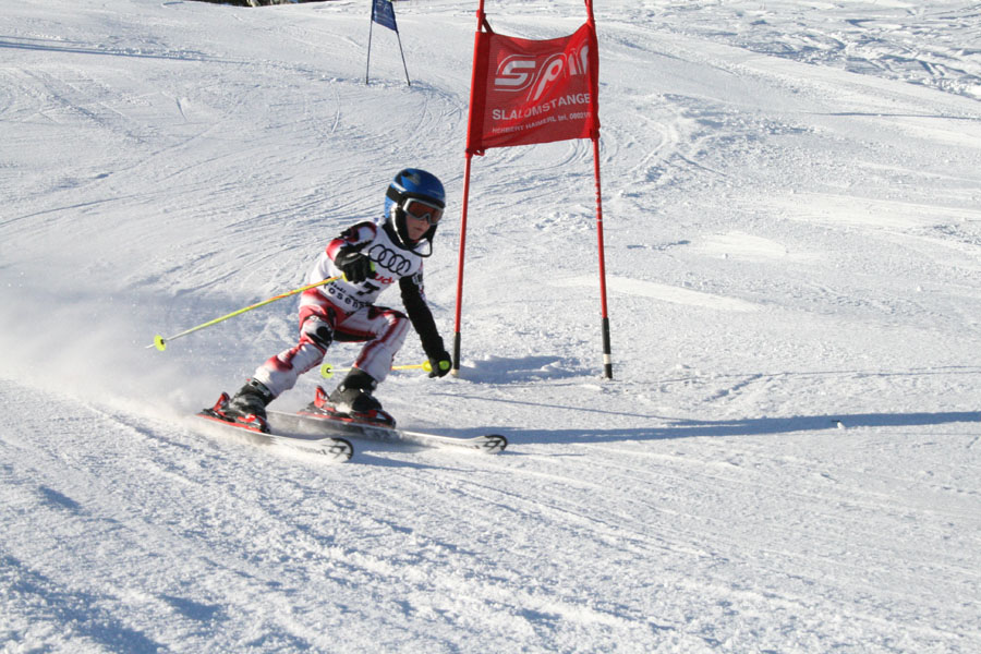 AQC_2_26.01.2008 020