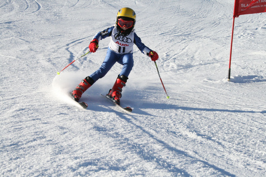 AQC_2_26.01.2008 028