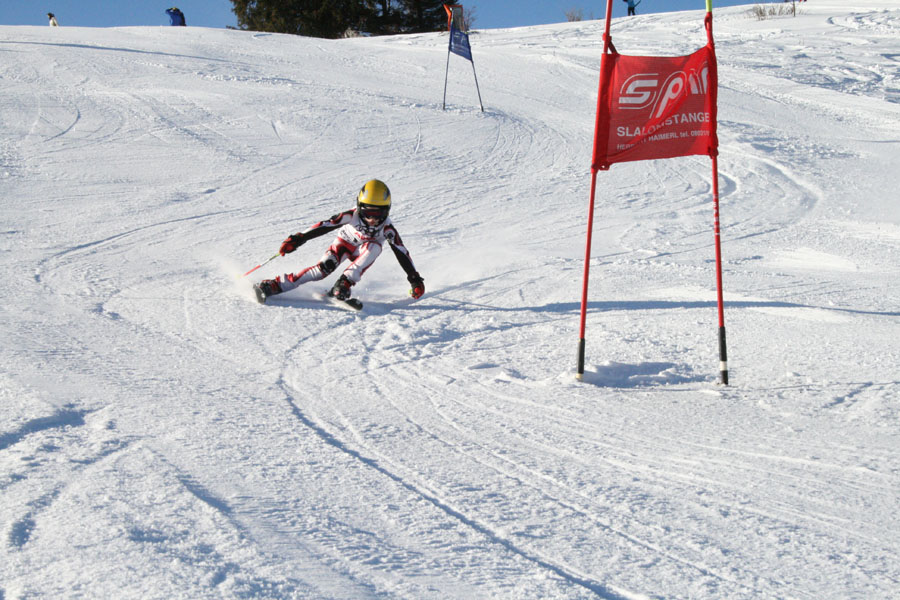 AQC_2_26.01.2008 031