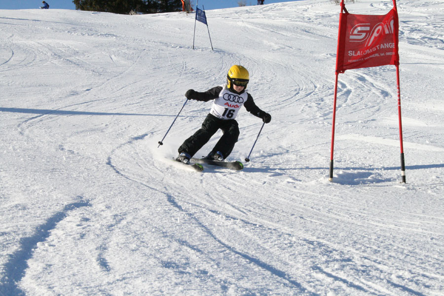 AQC_2_26.01.2008 038