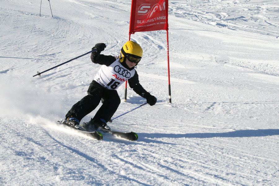 AQC_2_26.01.2008 039