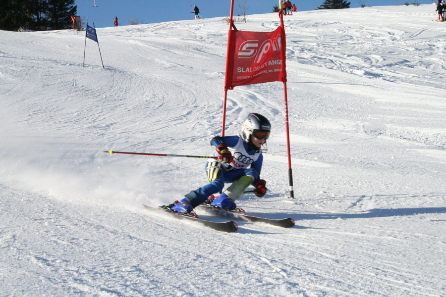 AQC_2_26.01.2008 043