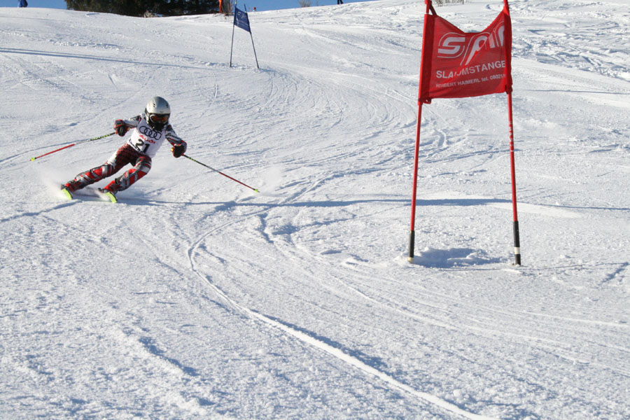 AQC_2_26.01.2008 050
