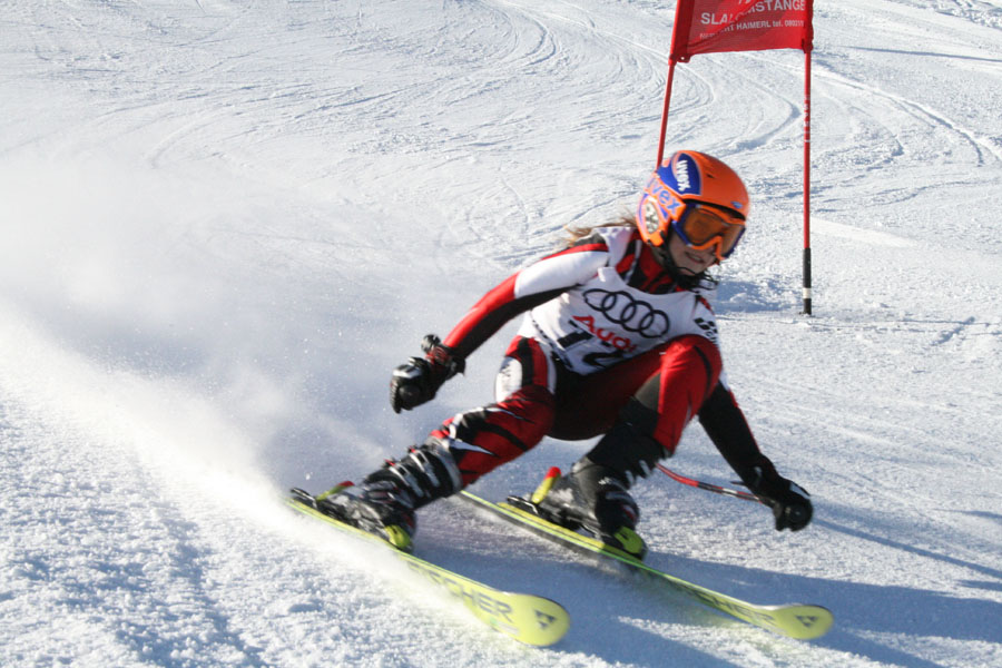 AQC_2_26.01.2008 152
