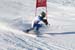 AQC_2_26.01.2008 037