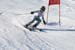 AQC_2_26.01.2008 098