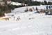 AQC_2_26.01.2008 135