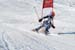 AQC_2_26.01.2008 148