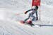 AQC_2_26.01.2008 234