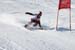 AQC_2_26.01.2008 250